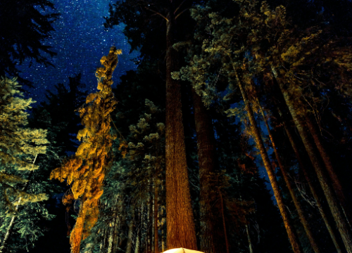 Tent Camping
